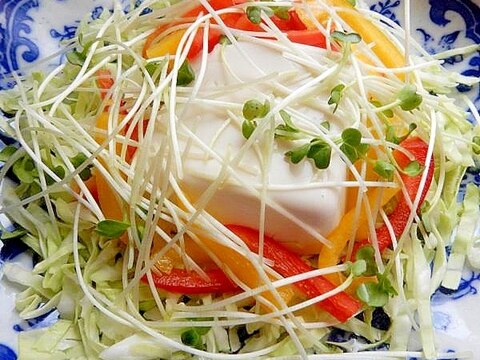 ５分！？温かい豆腐&生野菜のヘルシーサラダ♪